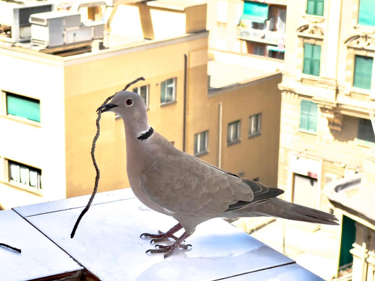 Home Sweet Home Nel Cuore Di Genova Eksteriør bilde